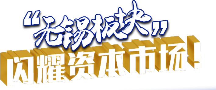 “無錫板塊”閃耀資本市場(chǎng)