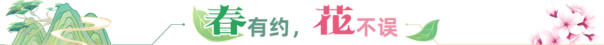 春有約，花不誤